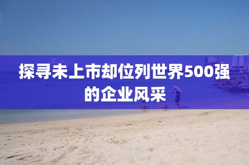 探寻未上市却位列世界500强的企业风采