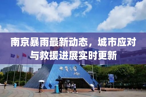 南京暴雨最新动态，城市应对与救援进展实时更新
