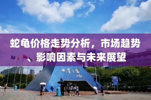 蛇龟价格走势分析，市场趋势、影响因素与未来展望