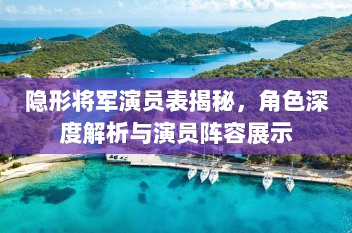 隐形将军演员表揭秘，角色深度解析与演员阵容展示