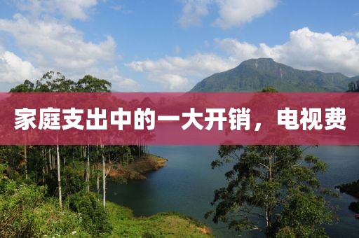 家庭支出中的一大开销，电视费