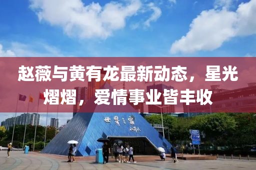 赵薇与黄有龙最新动态，星光熠熠，爱情事业皆丰收