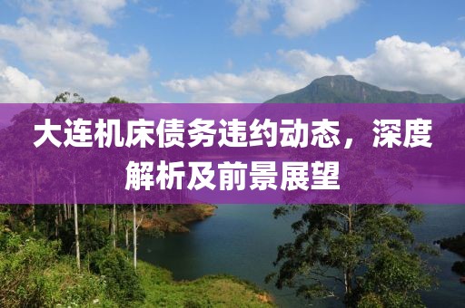 大连机床债务违约动态，深度解析及前景展望