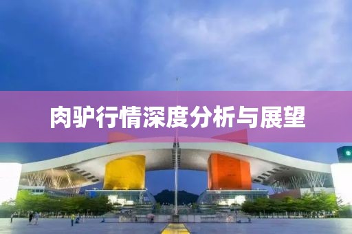 北城望 第14页