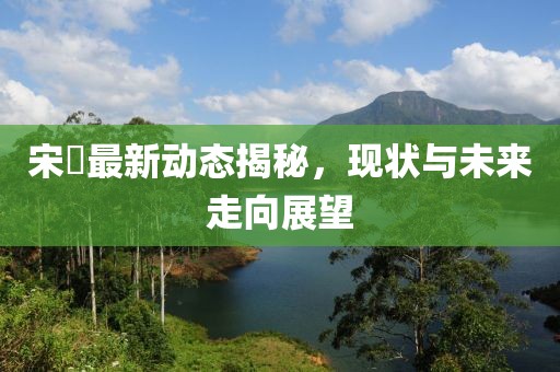 宋喆最新动态揭秘，现状与未来走向展望