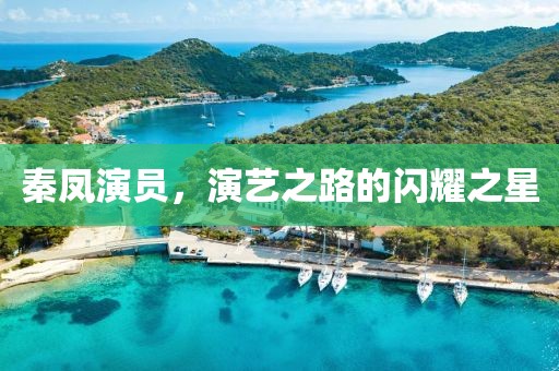 秦凤演员，演艺之路的闪耀之星
