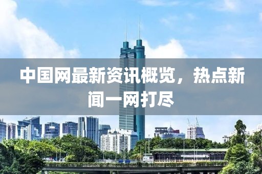 中国网最新资讯概览，热点新闻一网打尽