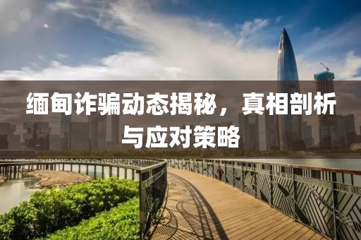 缅甸诈骗动态揭秘，真相剖析与应对策略