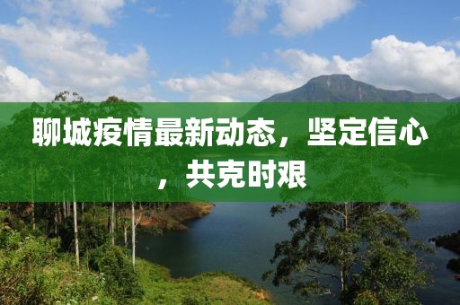 聊城疫情最新动态，坚定信心，共克时艰