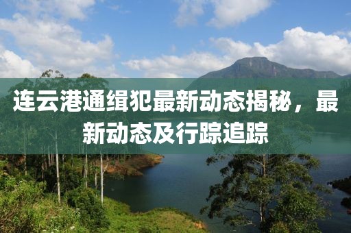 连云港通缉犯最新动态揭秘，最新动态及行踪追踪