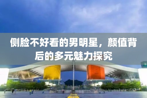 侧脸不好看的男明星，颜值背后的多元魅力探究