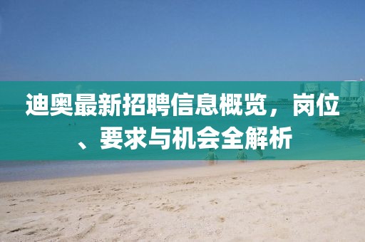 迪奥最新招聘信息概览，岗位、要求与机会全解析