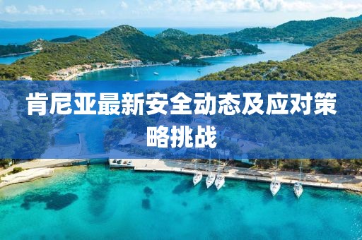 肯尼亚最新安全动态及应对策略挑战