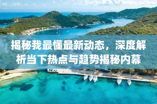 揭秘我最懂最新动态，深度解析当下热点与趋势揭秘内幕