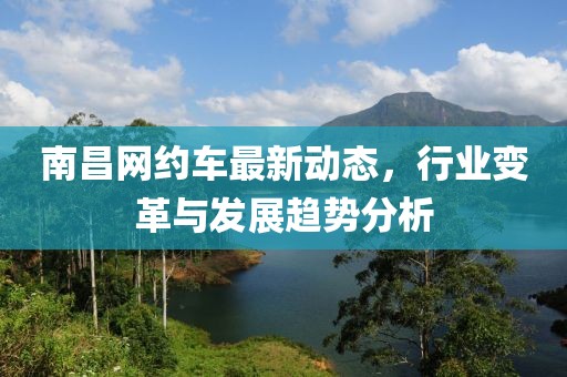 南昌网约车最新动态，行业变革与发展趋势分析