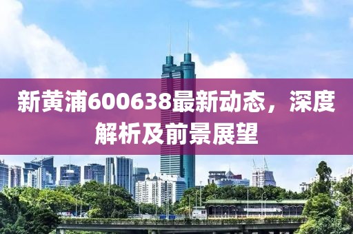 新黄浦600638最新动态，深度解析及前景展望