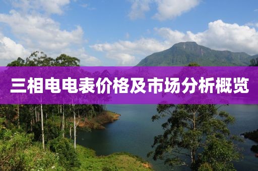 三相电电表价格及市场分析概览