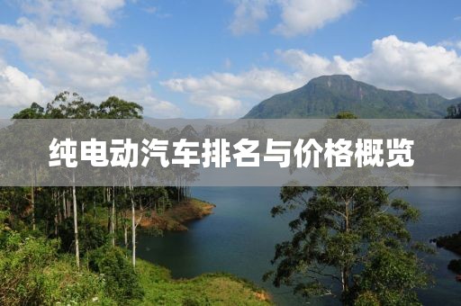 纯电动汽车排名与价格概览