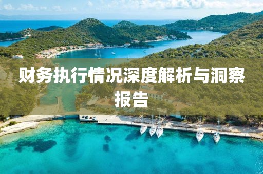 财务执行情况深度解析与洞察报告