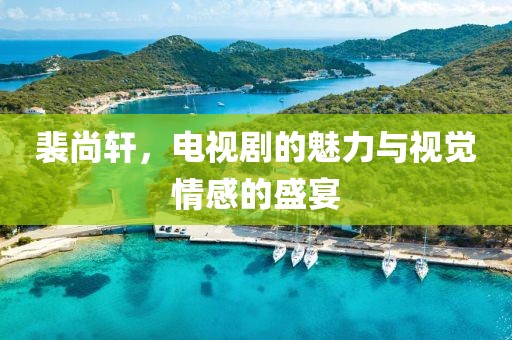 裴尚轩，电视剧的魅力与视觉情感的盛宴