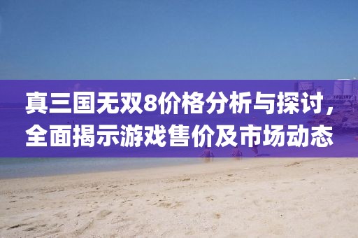 真三国无双8价格分析与探讨，全面揭示游戏售价及市场动态