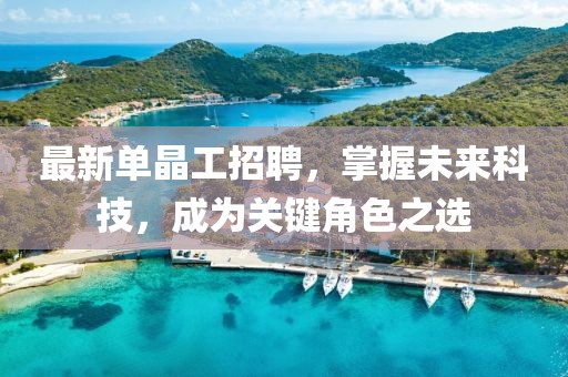 最新单晶工招聘，掌握未来科技，成为关键角色之选