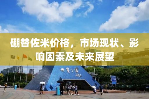 硼替佐米价格，市场现状、影响因素及未来展望