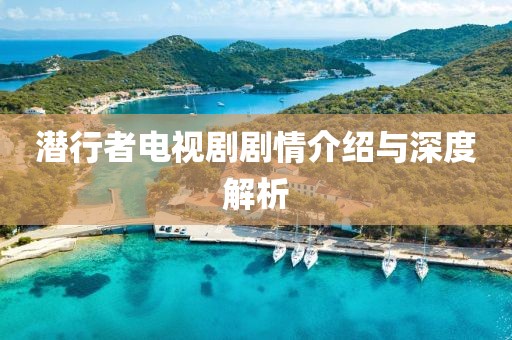 潜行者电视剧剧情介绍与深度解析
