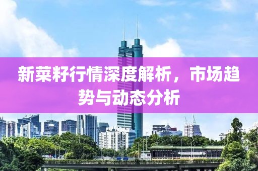 新菜籽行情深度解析，市场趋势与动态分析