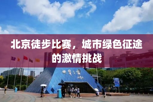 你不行 第12页