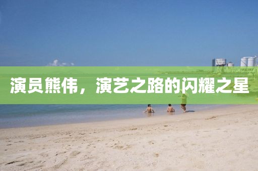 演员熊伟，演艺之路的闪耀之星