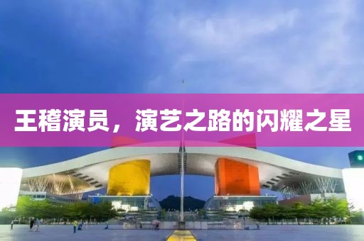 王稽演员，演艺之路的闪耀之星