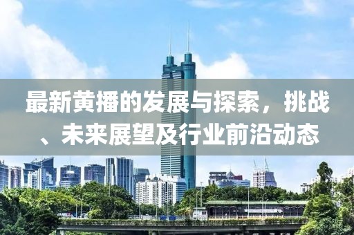 最新黄播的发展与探索，挑战、未来展望及行业前沿动态