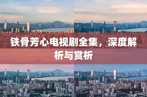 铁骨芳心电视剧全集，深度解析与赏析
