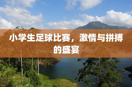 小学生足球比赛，激情与拼搏的盛宴