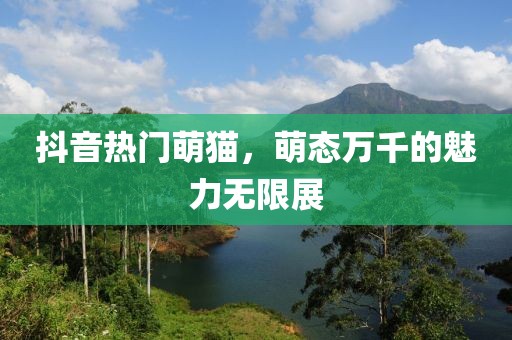 抖音热门萌猫，萌态万千的魅力无限展