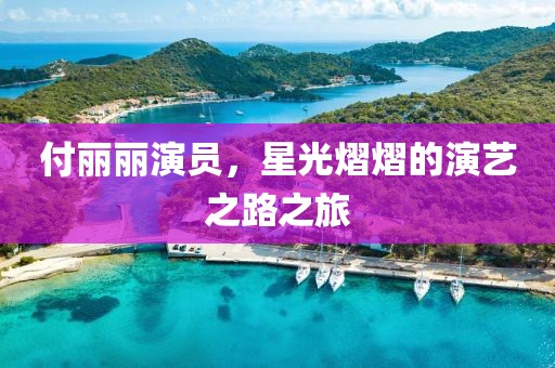 付丽丽演员，星光熠熠的演艺之路之旅