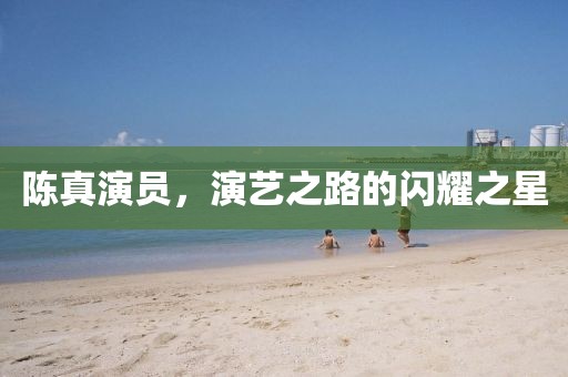 陈真演员，演艺之路的闪耀之星