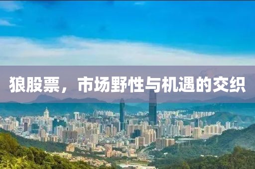 狼股票，市场野性与机遇的交织