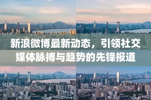 新浪微博最新动态，引领社交媒体脉搏与趋势的先锋报道