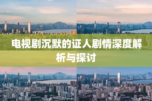 电视剧沉默的证人剧情深度解析与探讨