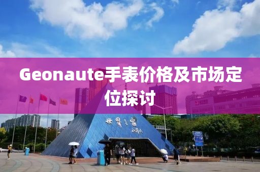 Geonaute手表价格及市场定位探讨