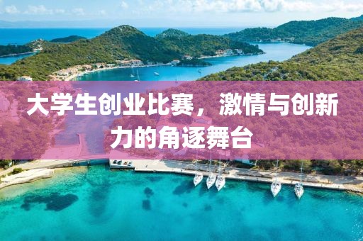 大学生创业比赛，激情与创新力的角逐舞台