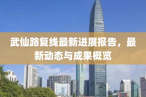 武仙路复线最新进展报告，最新动态与成果概览