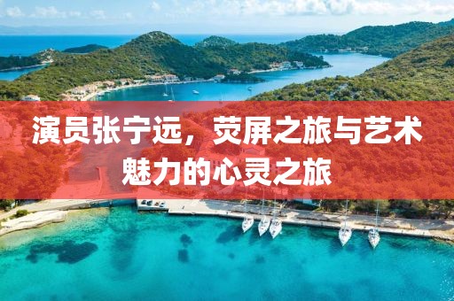 演员张宁远，荧屏之旅与艺术魅力的心灵之旅