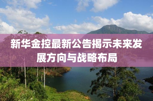新华金控最新公告揭示未来发展方向与战略布局