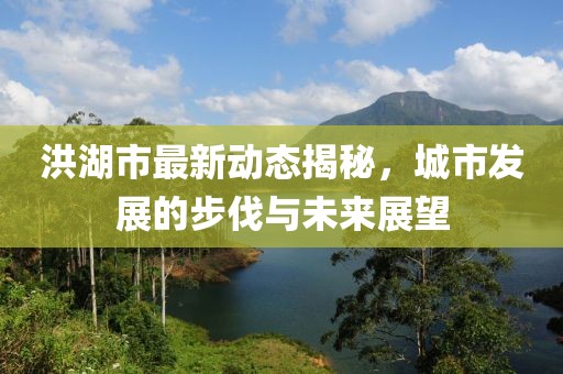 洪湖市最新动态揭秘，城市发展的步伐与未来展望