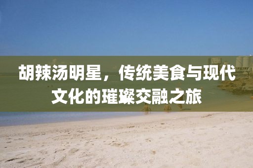 胡辣汤明星，传统美食与现代文化的璀璨交融之旅