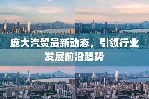 庞大汽贸最新动态，引领行业发展前沿趋势