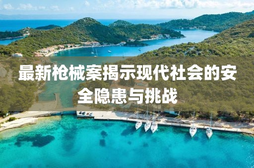 最新枪械案揭示现代社会的安全隐患与挑战